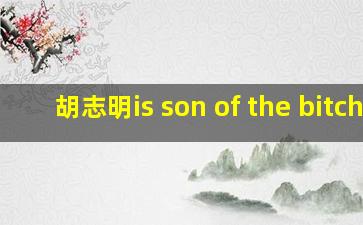 胡志明is son of the bitch